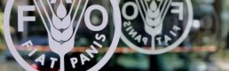 FAO: Küresel gıda fiyatları yıla düşüşle başladı