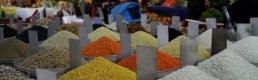 FAO, küresel gıda fiyatlarının temmuzda düşüşünü sürdürdüğünü bildirdi