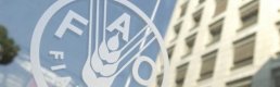 FAO: Ukrayna savaşı gıda fiyatlarında yüzde 20'lik artışı tetikleyebilir