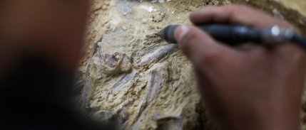 Fas'ta 773 bin yıl öncesine ait insan fosilleri bulundu