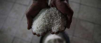 Fitch: Pirinç fiyatları daha da yükselebilir