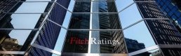 Fitch: Türkiye'de yurt içi döviz talebi artabilir