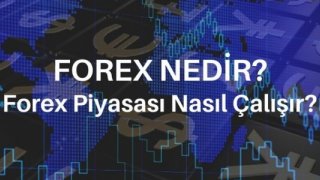 Forex Nedir ve Forex Piyasası Nasıl Çalışır?