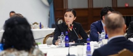 Gaye Erkan'ın faiz artırımı nedeniyle görevden alındığı iddiası yalanlandı