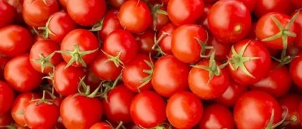 Gazipaşa'dan Hormon Ve İlaç İddialarına Tepki