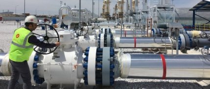 Gazprom, BOTAŞ’ın devralınacağı iddialarını yalanladı