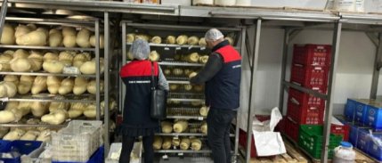 Gıda denetimlerinde yaka kamerası dönemi başlıyor