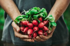 Gıdada pestisit limitlerine düzenleme: Listeye bir sebze daha eklendi