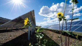 Güneş enerjisinde günlük üretim rekoru kırıldı