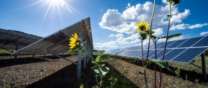 Güneş enerjisinde günlük üretim rekoru kırıldı