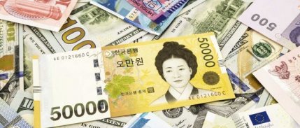 Güney Kore'de sıkıyönetim ilan edildi: Güney Kore Wonu son iki yılın dibine geriledi