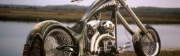 Harley Davidson Müdürü: 