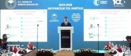 Hayvancılıkta 5 yıllık yol haritası belli oldu