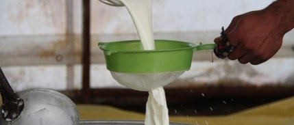 Hesaplama yöntemi değişti: Çiğ sütün üretim maliyeti belli oldu