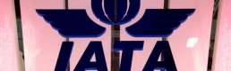 IATA hava yolları sektörünün 2023'te kâr etmesini bekliyor