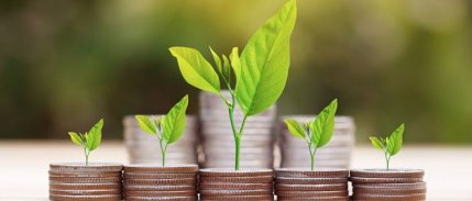 IFC'den Türkiye'ye 1.1 Milyar Dolar Uzun Vadeli Yatırım