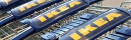 IKEA 7 bin 500 kişiyi işten çıkaracak  
