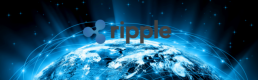 İkinci Büyük Kripto Para Ripple Sert Düştü