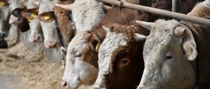 IPARD III Programı için 7. başvuru çağrı ilanı yayımlandı