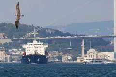 İstanbul Boğazı'nda gemi trafiği çift yönlü askıya alındı