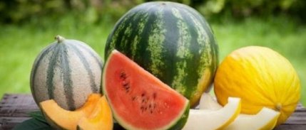 İthal Karpuz ve Kavun El Yakıyor