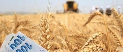 İyi Tarım ve Organik Tarım Destek Ödemeleri yarın başlıyor