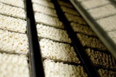 Japon şirketten Sakarya'da noodle fabrikası yatırımı