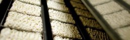 Japon şirketten Sakarya'da noodle fabrikası yatırımı