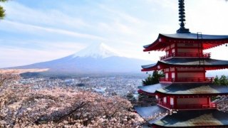 Japonya’dan IOM’a 900 Bin Dolar Destek