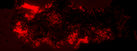 Kadın cinayetleri haritalandırıldı: 