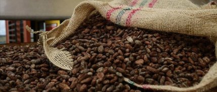 Kakao fiyatları zirvede: Emtia piyasasında son durum