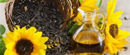 Karadenizbirlik, Yağlık Ay Çiçeğine 2,20 Tl Fiyat Verdi