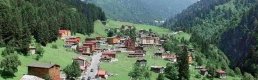 Kiracıdan satılık hazine arazisi