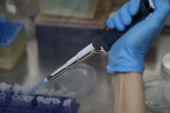 Kırım Kongo Kanamalı Ateşi hastalığına karşı yerli aşı geliştirildi