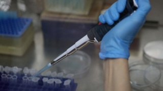 Kırım Kongo Kanamalı Ateşi hastalığına karşı yerli aşı geliştirildi