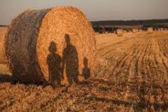 Kırsal kalkınma hamlesi: Aile işletmelerine yeni destekler geliyor