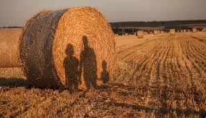 Kırsal kalkınma hamlesi: Aile işletmelerine yeni destekler geliyor