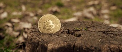 Kripto para borsası AAX, para çekme işlemlerini askıya aldı
