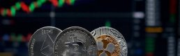 Kripto para piyasasında altcoinler Bitcoin'i geride bıraktı