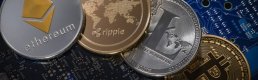 Kripto Para Piyasasında Yükseliş Sürüyor