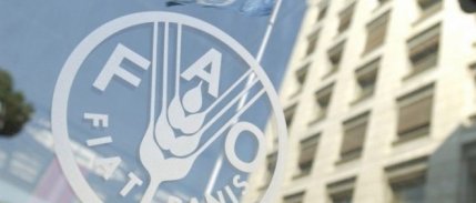 Küresel gıda fiyatlarında ağustosta sınırlı düşüş