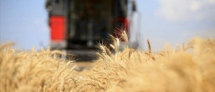 Küresel gıda fiyatlarında sınırlı gerileme