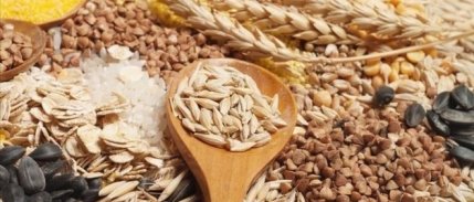 Küresel gıda fiyatları son bir yılda %20 geriledi