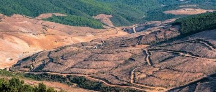 Küresel Gıda Krizi raporu: Yaklaşık 193 milyon insan akut gıda güvensizliği yaşıyor