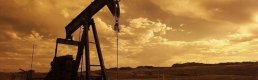 Küresel petrol arzı temmuzda arttı