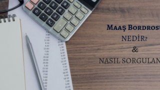 Maaş Bordrosu Nedir? Nasıl Sorgulanır?