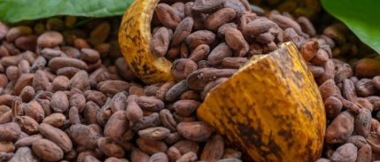 Mayısta fiyatı en fazla artan ürün kakao oldu