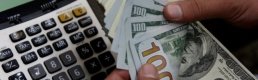 MB Vadeli Döviz Satım Iİhalesine 2 Milyon Dolar Teklif Geldi