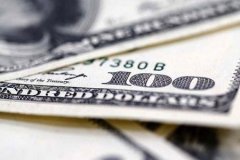 Merkez Bankası döviz alımına geri döndü