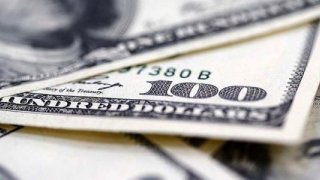 Merkez Bankası döviz alımına geri döndü